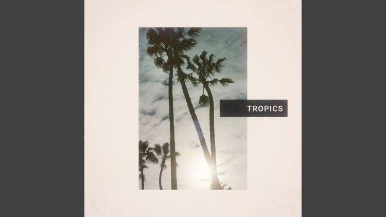 Past Palms - Tropics