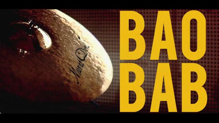 Bakos - The Last Baobab