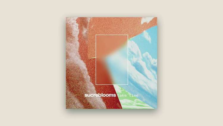 Sucreblooms - Lines